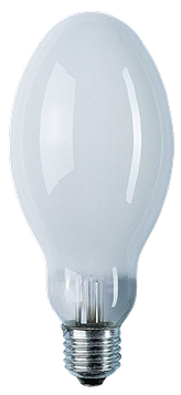 white light bulb
